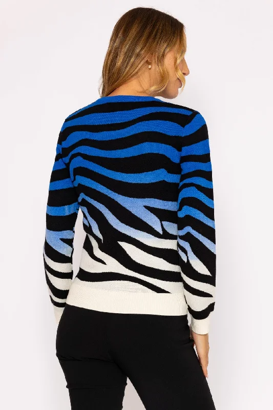 Ombre Zebra Knit in Blue